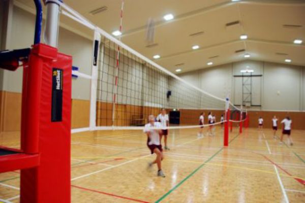 Volleyball Net